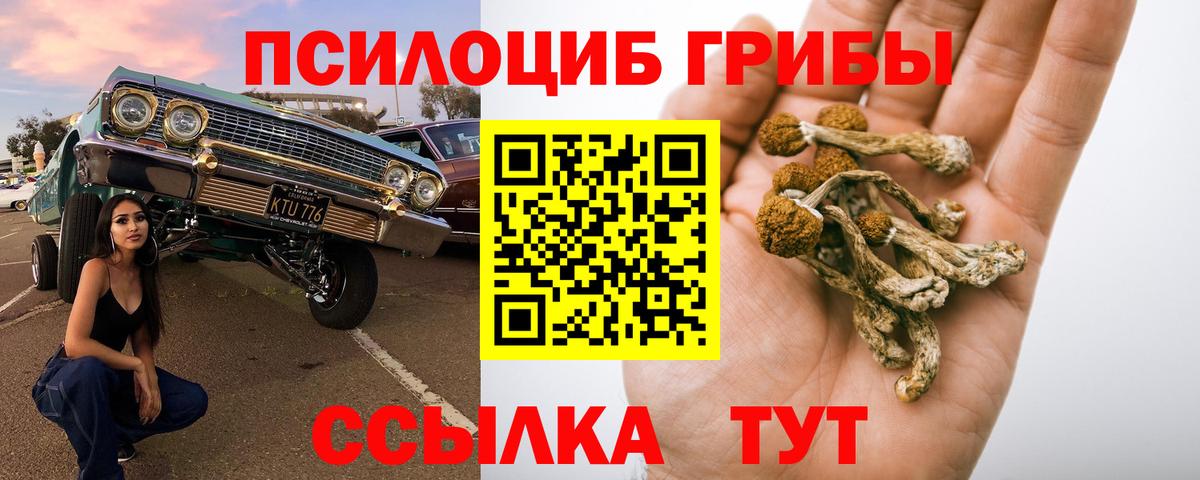 Галлюциногенные грибы мухоморы Нальчик