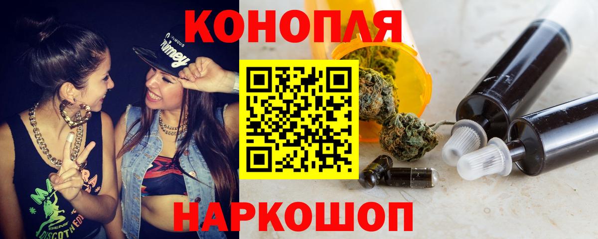 Марихуана сатива Нальчик